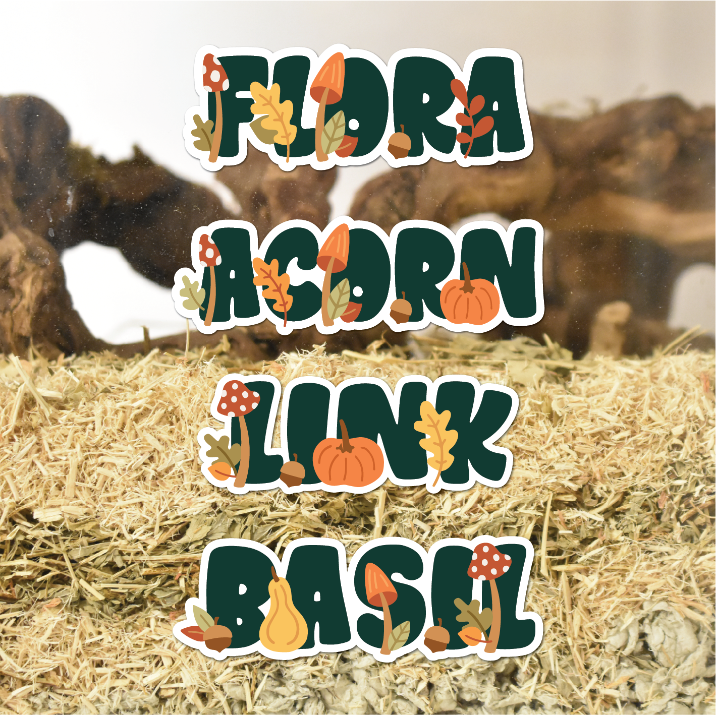 Furnishables autumn themed hamster name sticker