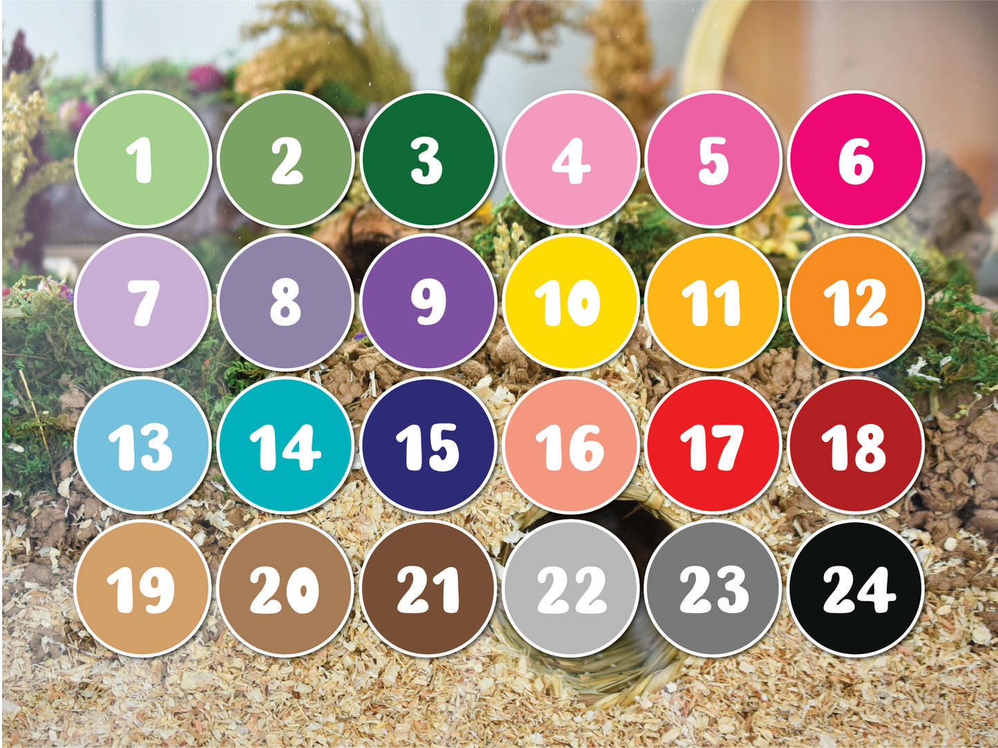 Pet Photo Name Stickers