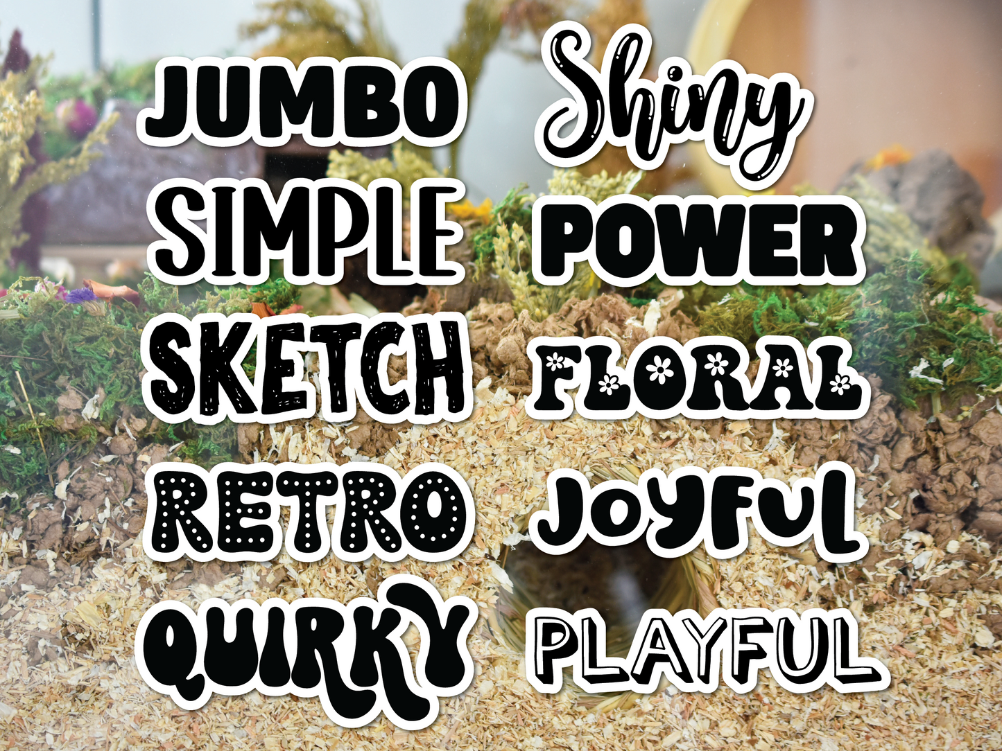 Pet Photo Name Stickers