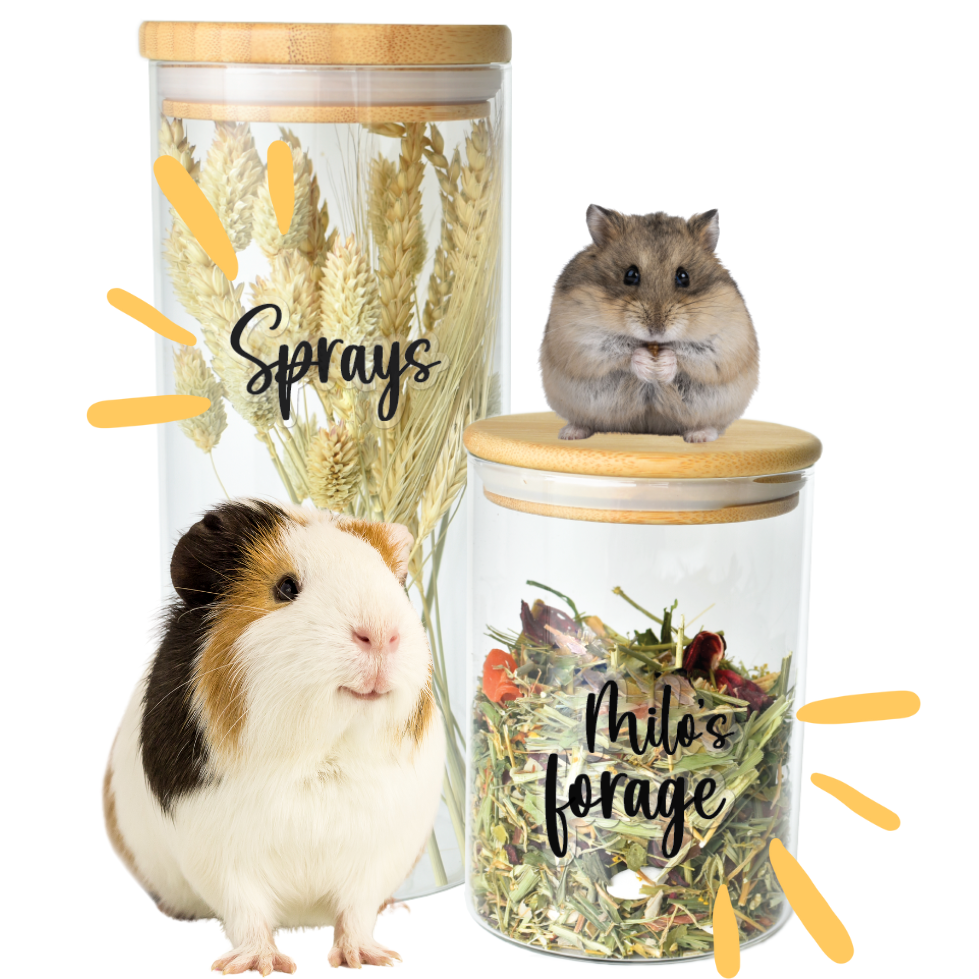 Static Cling Organisation Labels
