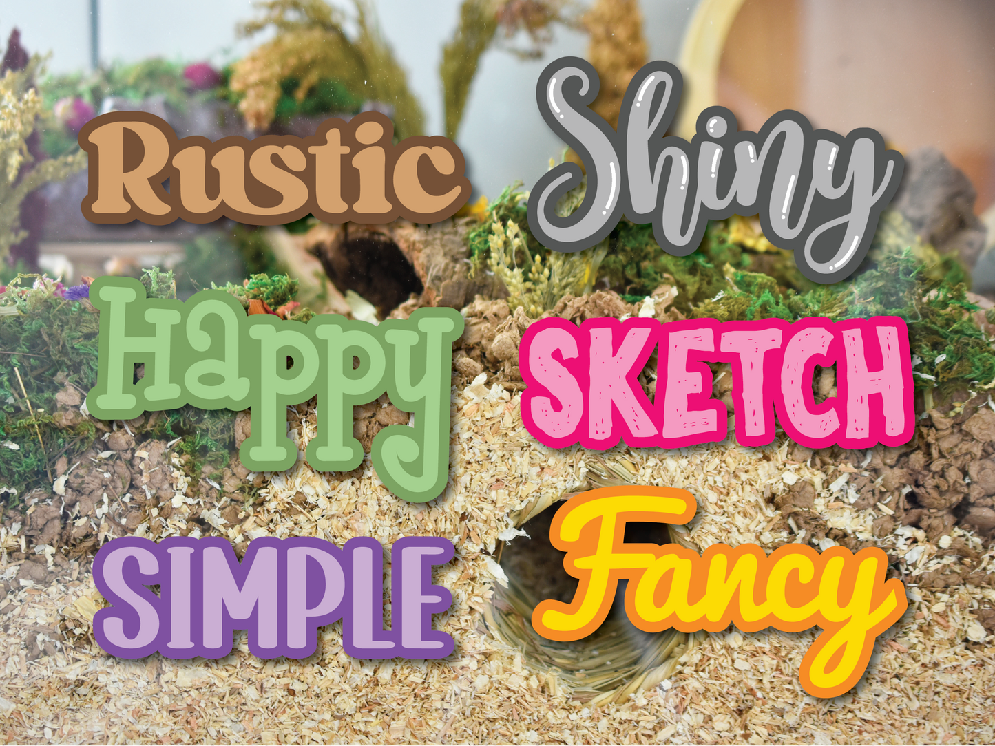 Two-Tone Custom Pet Name Stickers