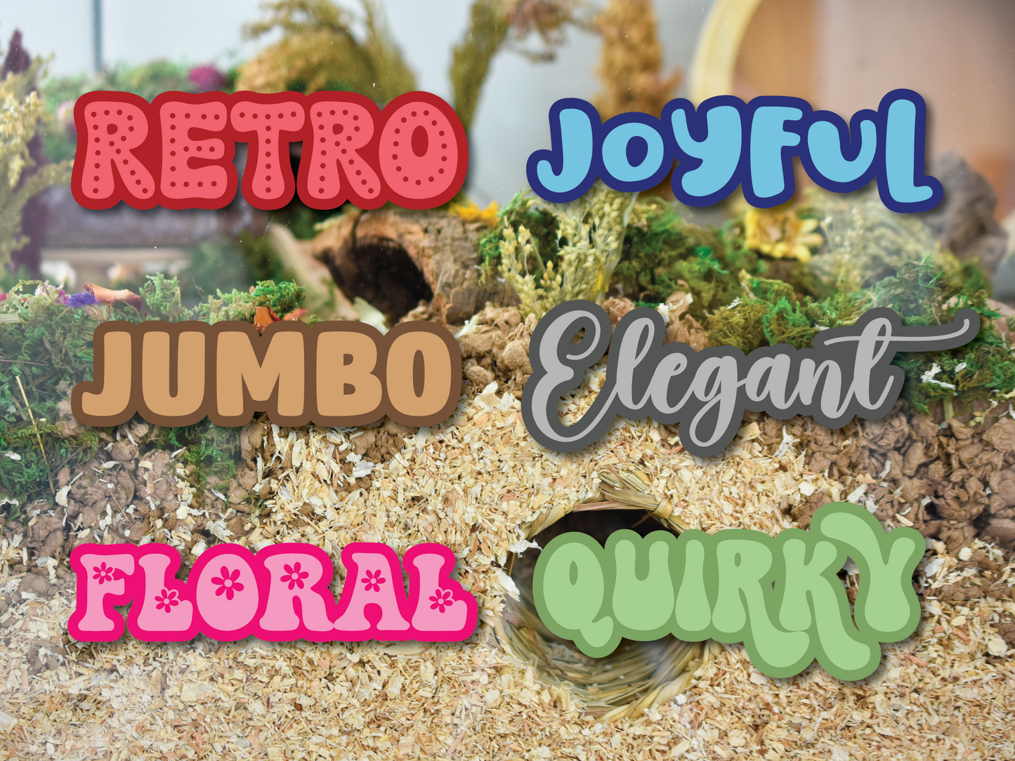 Two-Tone Custom Pet Name Stickers