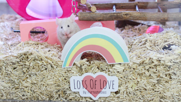 A mouse with a rainbow static cling sticker on the front of his glass habitat made by Furnishables