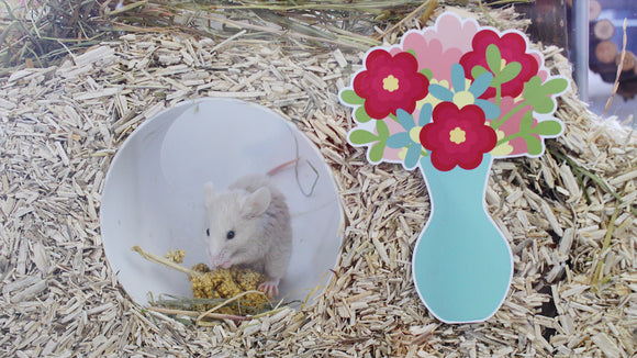A mouse in a glass tank with a flower bouquet static cling sticker made by Furnishables