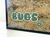 Green static cling name sticker by Furnishables stuck to the front of a glass pet enclosure