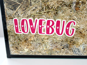 Static cling Valentines font sticker on the front of a glass hamster tank a 