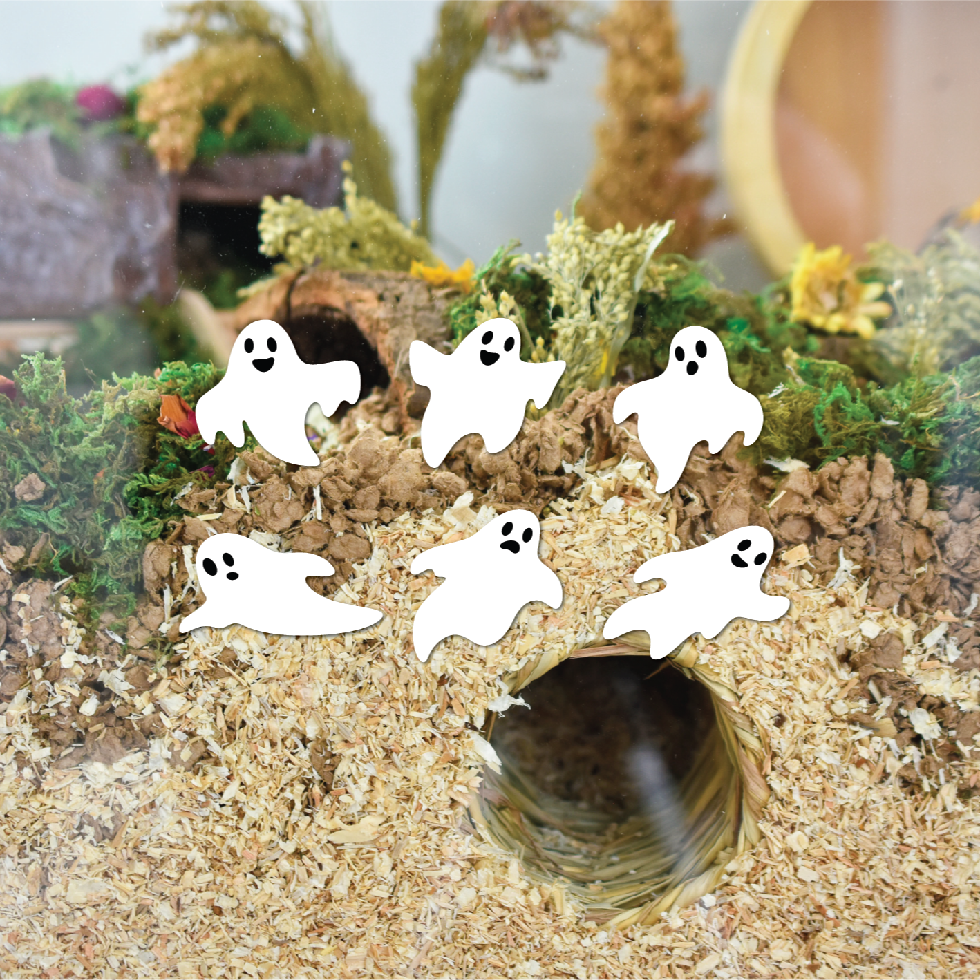 Miniture ghost stickers on a small pet enclosure