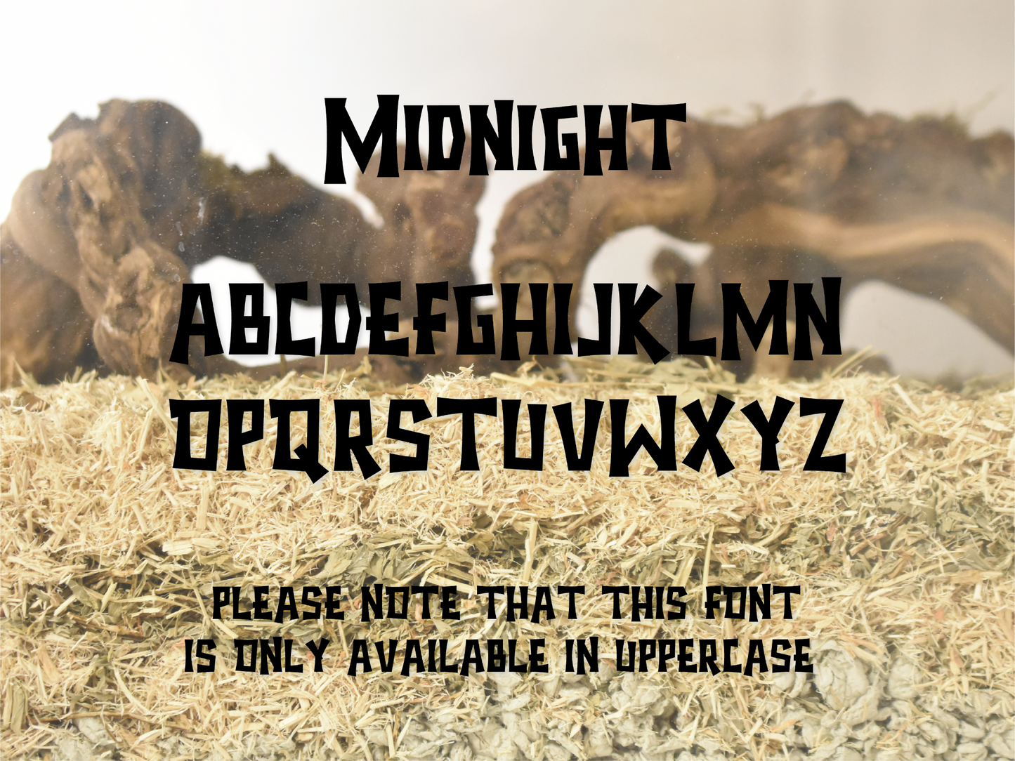 Font & text examples of spooky pet name stickers by Furnishables