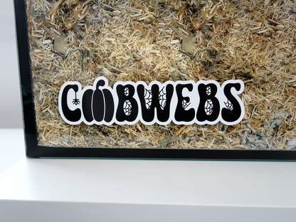 A Furnishables static cling name sticker in a spooky style font, stuck to the front of a glass pet enclosure.