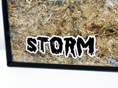 A Furnishables static cling name sticker in a spooky style font, stuck to the front of a glass pet enclosure.