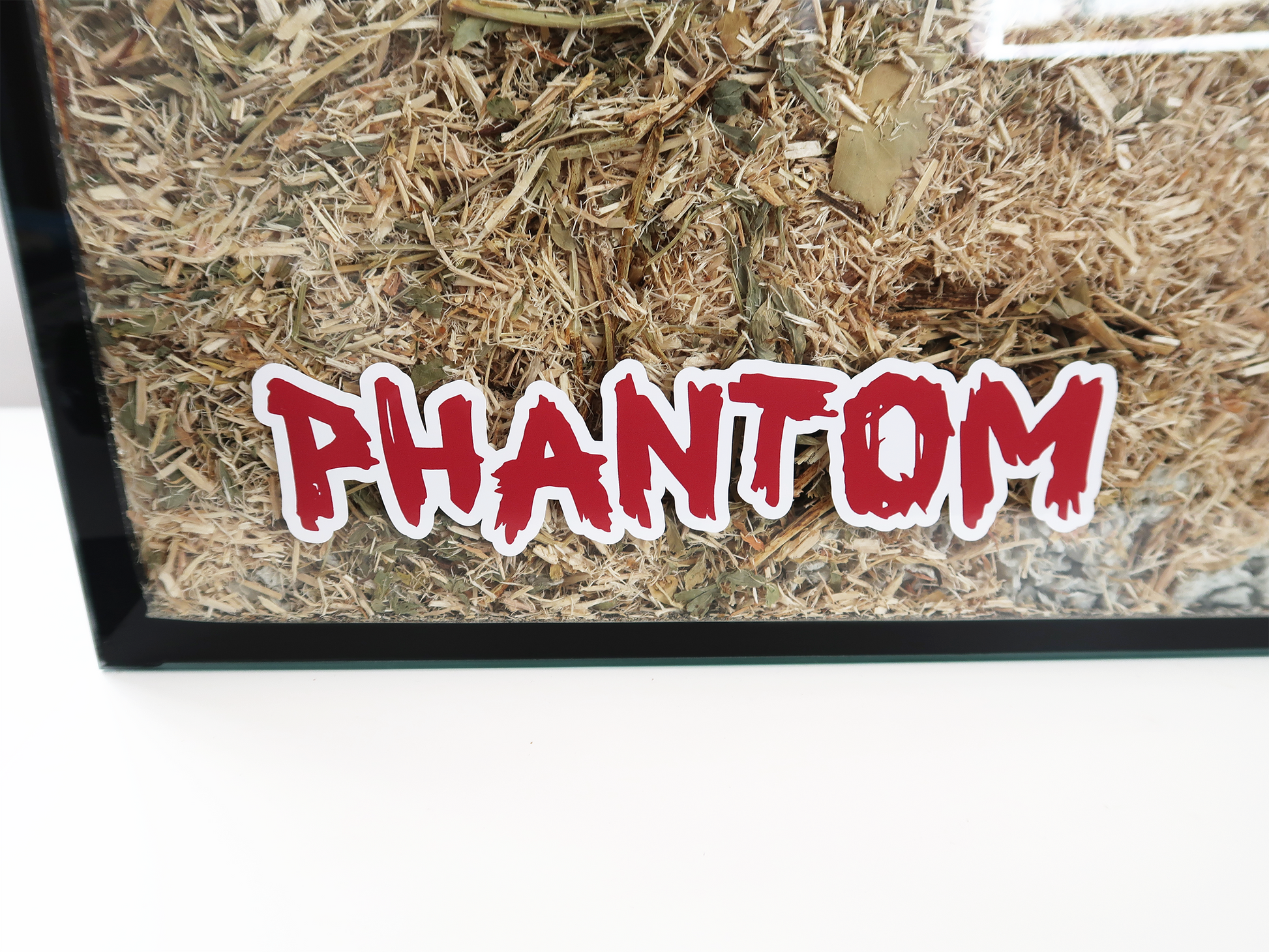 A Furnishables static cling name sticker in a spooky style font, stuck to the front of a glass pet enclosure.