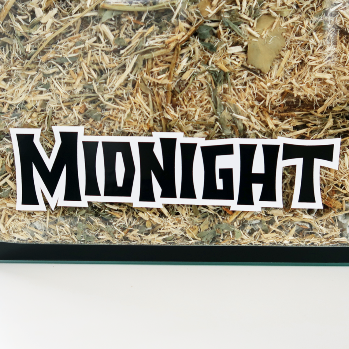 A Furnishables static cling name sticker in a spooky style font, stuck to the front of a glass pet enclosure.