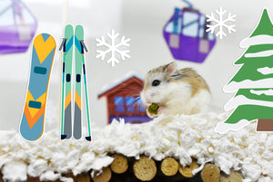 Hamster with ski and mountain themed static cling stickers decorating his tank