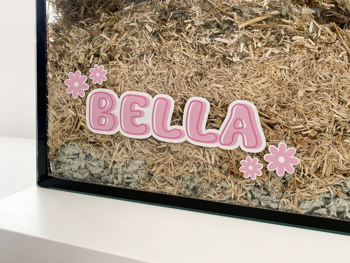 Pink static cling name sticker by Furnishables stuck to the front of a glass pet enclosure