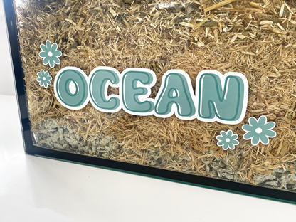 Aqua static cling name sticker by Furnishables stuck to the front of a glass pet enclosure