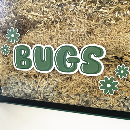 Green static cling name sticker by Furnishables stuck to the front of a glass pet enclosure