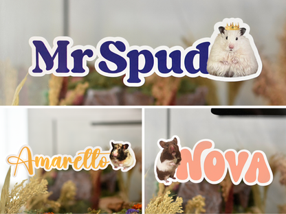 Pet Photo Name Stickers