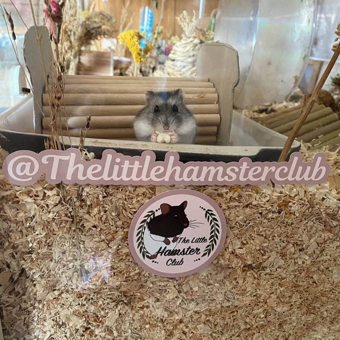 Social Media Sticker Set
