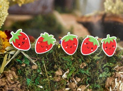 Strawberry Pet Name Stickers