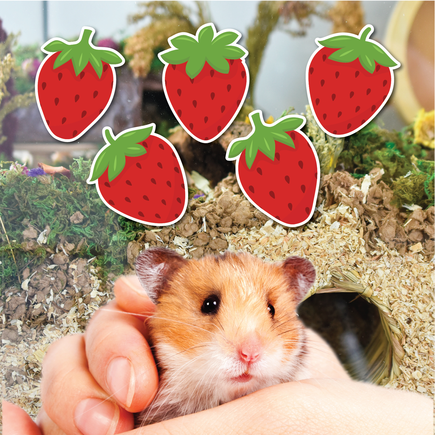 Strawberry Pet Name Stickers