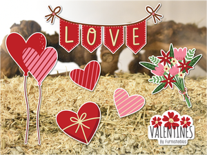 Valentines | Static Cling | Pet Cage Theme
