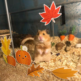 Hamster with autumnal themed static cling stickers decorating the front of the glass habitat.