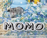 A hamster with a Furnishables name sticker on the front of his enclosure