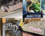 Four images of pet name stickers on different small pet enclosures